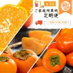 旬のご 果物定期便 ひらたねなし柿 富有柿