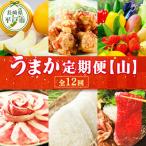 うまか定期便 ~ひらど新鮮市場~全12回
