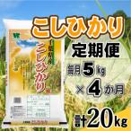 コシヒカリ 精米 5kg