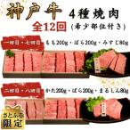 神戸牛王道焼肉定期便全12回