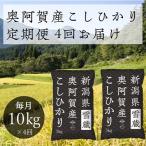 ふるさと納税 阿賀町 2022年1月発送開始『定期便』新潟県奥阿賀産こしひかり10kg(5kg×2)精米毎月お届け全4回