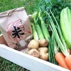 ふるさと納税 京丹後市 2022年10月発送開始『定期便』こだわり野菜5種以上+特別栽培米コシヒカリ2kgB 全6回
