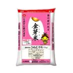 ふるさと納税 安来市 2022年11月発送開始『定期便』BG無洗米　金芽米きぬむすめ5kg【毎月】全6回