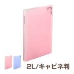 フォトアルバム キャビネ判1段 40枚収納 ピンク HCC-CA-P ブルー HCC-CA-B プチクルール ナカバヤシ 受発注商品