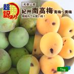  супер есть перевод .. юг высота слива 1kg | бесплатная доставка Wakayama производство царапина есть супер .. есть обработка для нестандартный выгода синий слива желтый слива сырой слива сливовое вино. слива сливовое вино для джем сироп прямая поставка 