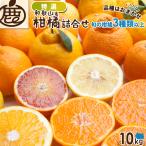 柑橘詰め合わせ 特選 1