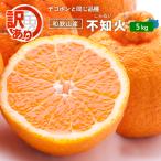 不知火 ( デコポン ) わけあり 5kg ／ KS 訳あり 送料無料 しらぬい しらぬひ デコポン お得 家庭用 お取り寄せ 産直