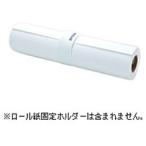 EPSON( Epson ) [ оригинальный ] Professional фото бумага тонкий глянец ( примерно 610mm×30.5m*1 roll ) PXMC24R12