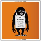 ( б/у )FOX ( выставленный товар ) Visual Sonic Banksy Edition банк si- дизайн BDLD-1907-003