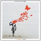 ( б/у )FOX ( выставленный товар ) Visual Sonic Banksy Edition банк si- дизайн BDLD-1907-009