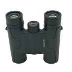 ショッピングTIB 〔中古〕IWATCHER  〔展示品〕 iWatcher 10x25 DH 折畳式双眼鏡 iWatcher TIB-1025DH-B 10倍