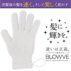  песок гора носки волосы dry перчатка BLOWVE( blow b) 6231CA-02