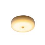 abite Lux abite Lux LED маленький размер потолочный светильник человек чувство сенсор c функцией ALCM150JL лампа цвет [ лампа цвет /LED]