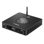 FiiO(fi-o) USB DAC встроенный наушники усилитель Black FIO-K13R2R-B [ в высоком разрешени соответствует /DAC функция соответствует ]