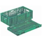 岐阜プラスチック工業 卵パック用折りたたみコンテナ RS-MM37S ＜AKVM701＞