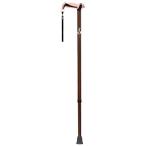 Kenko(ケンコー) ヒューゴステッキ  ブラウン 104753HUGO-BW