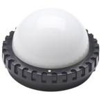 SEKONIC L398M 光球
