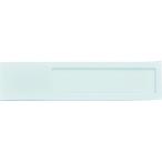 標識・標示 サインプレート ＴＲＵＳＣＯ　ネームケース　白　一人用　４０Ｘ１７０Ｘ７ＭＭ　  (TNCW-1)