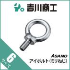 アイボルト ミリねじ サイズ6mm 1個入 AK4560