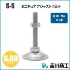 ミニチュア アジャストボルト M6 Φ30 サイズ6x80 S‐S 1本入