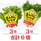 bata Via оборка лёд комплект .... салат lettuce Hyogo префектура .. город нет пестициды .... War машина каждый 3 шт итого 6 шт маленький подарок. . соответствует 