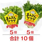 ma... салат bata Via оборка лёд комплект lettuce Hyogo префектура .. город нет пестициды каждый 5 шт итого 10 шт маленький подарок. .