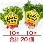 bata Via оборка лёд комплект .... салат lettuce Hyogo префектура .. город нет пестициды каждый 10 шт итого 20 шт маленький подарок. .