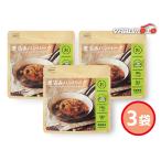 IZAMESHI 煮込みハンバーグ 豚肉 牛肉使用 190g入 3袋 レトルト 636340 ハコ無し 保存食 非常食 税率8％