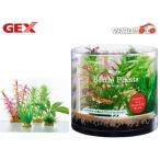 GEX.. вода . бутылка растения milio filler m тропическая рыба аквариумная рыбка сопутствующие товары аквариум сопутствующие товары аксессуары jeks