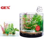 GEX.. вода . бутылка растения milio filler m тропическая рыба аквариумная рыбка сопутствующие товары аквариум сопутствующие товары аксессуары jeks