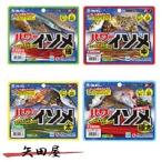 マルキュー　パワーイソメ 中　（Ｍ）