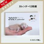 �y����Ȃ��z2027�N  ��� �J�����_�[ + �~�j�ʐ^�W �L ������� �i�`�����e�B��揤�i�j