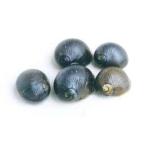 isimakigaiS~MS размер (1cm передний и задний (до и после) )50 шт 