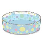 ビニール プール 空気入れ不要 パッと広げてホームプール ガーデンプール 折り畳み 子ども 子供用 ベビー ベランダ 犬 ペット用 水遊び 大型((水