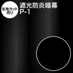 暗幕 生地カット売り 10cm単位 アンマクヤオリジナル ポリエステル暗幕 P-1 生地幅150cm 遮光1級 防炎 国産 日本製 遮光カーテン 防炎カーテン 撮影用 背景