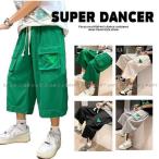ダンス衣装 パンツ ヒップホップ ファッション メンズ