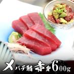 送料無料　メバチマグロ赤身 6人前（約600g）北海道、沖縄へは700円加算 花見 春 新生活 ギフ ...