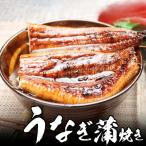 うなぎ 蒲焼き2尾（長焼き、1尾 約140g）静岡 焼津産【送料無料】北海道、沖縄へは700円加算 秋のグルメ 食欲の秋 感謝の贈り物 魚介類  海鮮 ギフト 年末準備