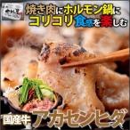 お中元 御中元 ホルモン 牛肉 国産牛 アカセンヒダ 300g 訳あり 焼肉 バーベキュー ギフト 内祝い BBQ