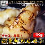 お中元 御中元 牛肉 国産牛 ホルモン 1kg メガ盛り 小腸 焼肉 バーベキュー もつ鍋 ホルモンうどん ホルモン焼き 送料無料