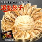  Hamamatsu гёдза комплект 14 шт (14 шт ×1 пакет ). тест .. гёдза gyo- The замороженные продукты рефрижератор гёдза Shizuoka 