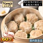 鶏肉焼売 大容量 業務用 冷凍シュウ