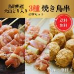 送料無料 鳥取県産 大山どり 焼き鳥 串 40本 セット もも ねぎま つくね 生 バーベキュー BBQ キャンプ お中元 ギフト プレゼント