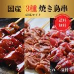 送料無料 鳥取県産 焼き鳥 串 40本 セット レバー ハツ 砂肝 生 キャンプ バーベキュー 家飲み BBQ 贈り物 プレゼント お中元