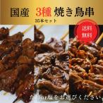 送料無料 焼き鳥 鳥取県産 セット 焼き鳥 串 3種 35本 レバー ハツ 砂肝 塩 タレ レゼント ギフト 贈り物 お中元
