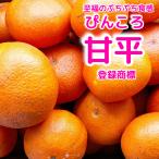 ショッピング甘平 愛媛西宇和　登録商標　ぴんころ甘平　2キロ　訳あり家庭用みかんかんぺい愛媛限定