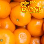  Ehime запад . мир . или 5 kilo размер не комплект есть перевод для бытового использования прямая поставка от производителя Ehime. .. для бытового использования TUBAKI-FOODS.