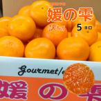 　訳あり　愛媛の媛の雫まどんな　5キロ　愛媛限定　わけあり.愛果.紅.家庭.媛.みかん.くだもの送料無料