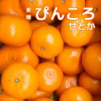 ..... или 3 kilo для бытового использования регистрация товарный знак Ehime запад . мир Hachiman ... жирный тунец мандарин .. есть для бытового использования жирный тунец ..tubaki-foods.