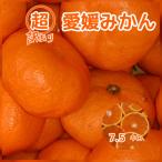 超訳あり　愛媛のみかん　7.5キロ　愛媛西宇和八幡浜　不揃い規格外品送料無料　一部地域別途送料